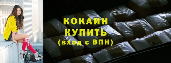 хмурый Алексин