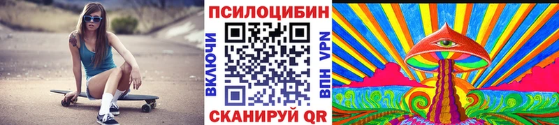 Псилоцибиновые грибы Psilocybine cubensis  дарнет шоп  Кирсанов 